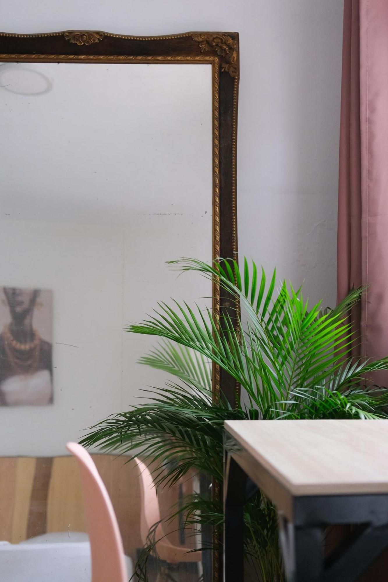 La Palmera Hostel カリ エクステリア 写真