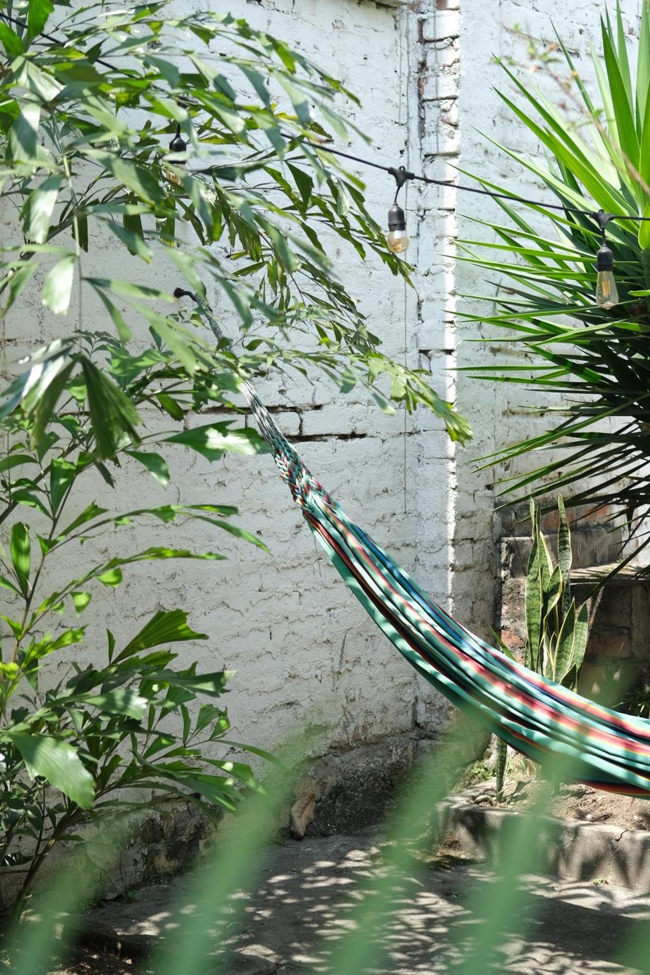 La Palmera Hostel カリ エクステリア 写真