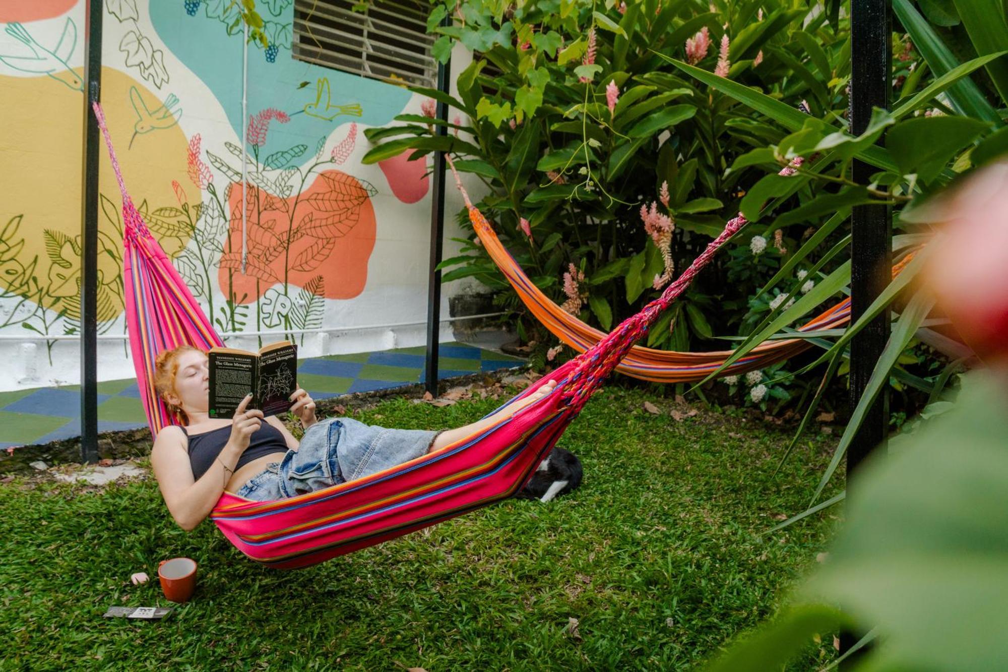 La Palmera Hostel カリ エクステリア 写真